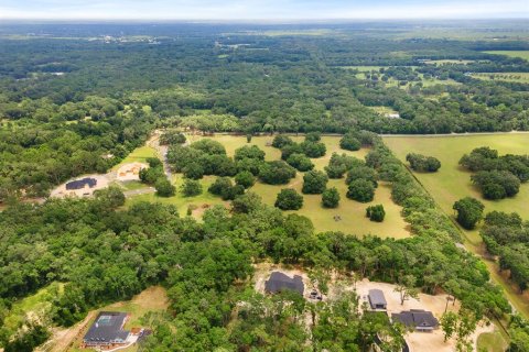 Land in Newberry, Florida № 1750041 - photo 13
