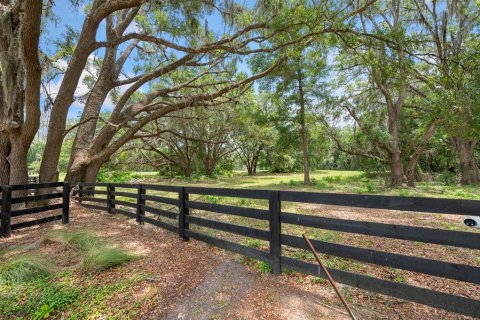 Land in Newberry, Florida № 1750041 - photo 7