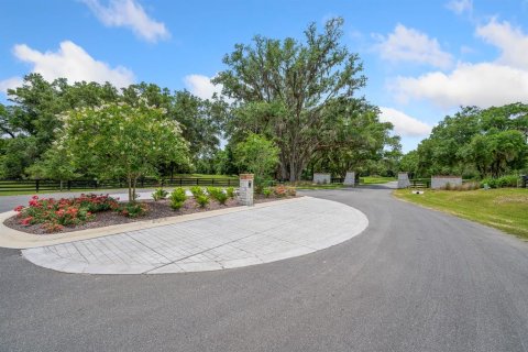 Land in Newberry, Florida № 1750041 - photo 24