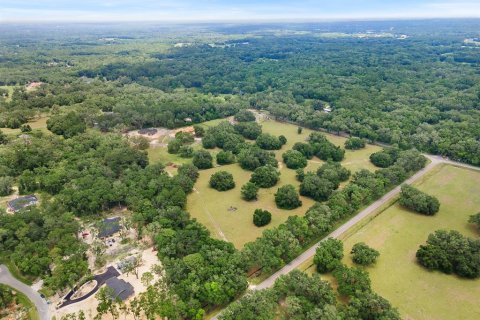 Land in Newberry, Florida № 1750041 - photo 12
