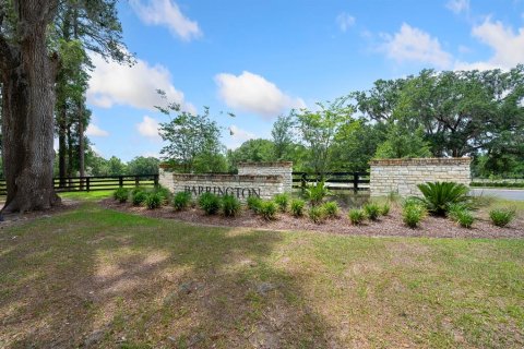 Land in Newberry, Florida № 1750041 - photo 2