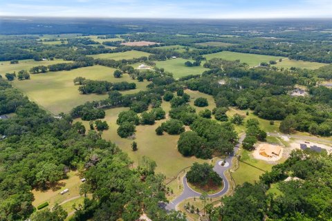 Land in Newberry, Florida № 1750041 - photo 3