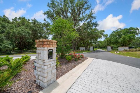 Land in Newberry, Florida № 1750041 - photo 25