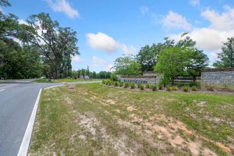 Land in Newberry, Florida № 1750041 - photo 20