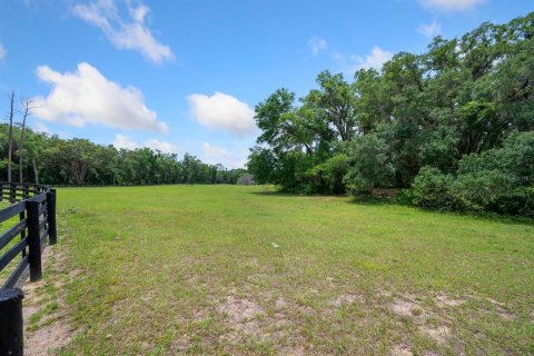Land in Newberry, Florida № 1750041 - photo 22