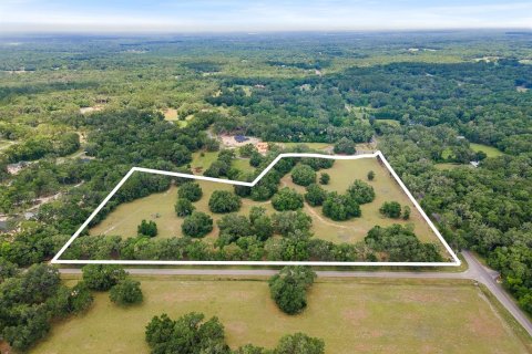 Land in Newberry, Florida № 1750041 - photo 10
