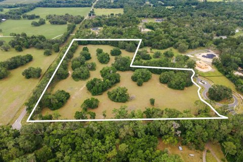 Land in Newberry, Florida № 1750041 - photo 5