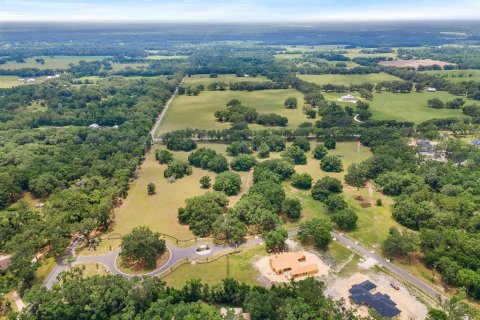 Land in Newberry, Florida № 1750041 - photo 16