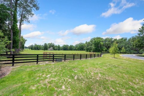 Land in Newberry, Florida № 1750041 - photo 1