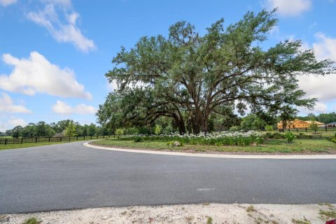 Land in Newberry, Florida № 1750041 - photo 19