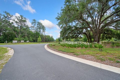 Land in Newberry, Florida № 1750041 - photo 28