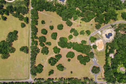 Land in Newberry, Florida № 1750041 - photo 4