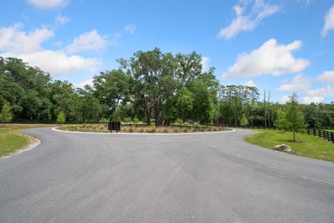 Land in Newberry, Florida № 1750041 - photo 23