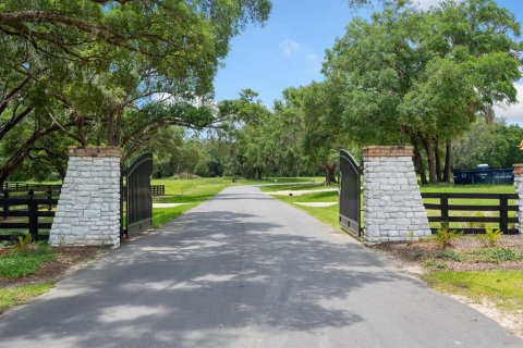 Land in Newberry, Florida № 1750041 - photo 26