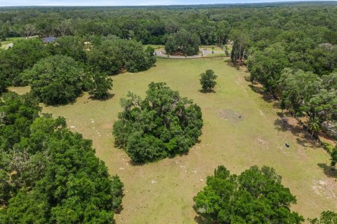 Land in Newberry, Florida № 1750041 - photo 18