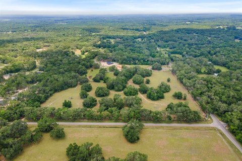 Land in Newberry, Florida № 1750041 - photo 11