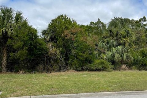 Terrain à vendre à Homosassa, Floride № 792551 - photo 16