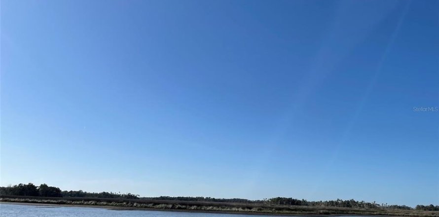 Terrain à Homosassa, Floride № 792551