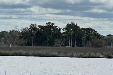 Terrain à vendre à Homosassa, Floride № 792551 - photo 9