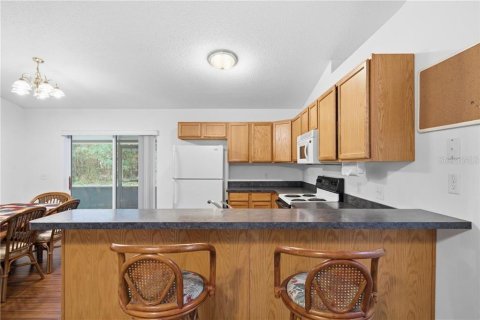 Casa en venta en Inverness, Florida, 3 dormitorios № 2404482 - foto 15