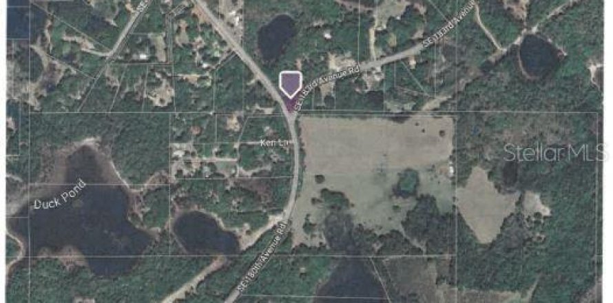 Land in Ocklawaha, Florida № 1245352