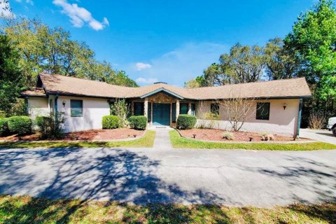 Villa ou maison à Hernando, Floride 3 chambres, 169.18 m2 № 2139544