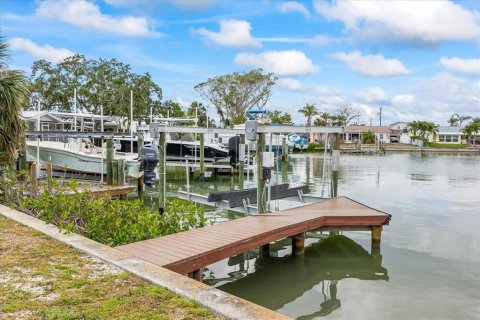 Villa ou maison à vendre à Saint Petersburg, Floride: 2 chambres, 124.02 m2 № 1663278 - photo 16