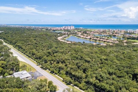 Immobilier commercial à louer à Palm Coast, Floride: 10.68 m2 № 2148677 - photo 10