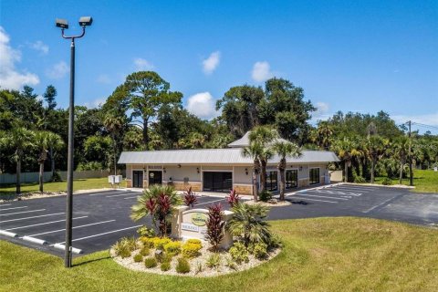 Immobilier commercial à louer à Palm Coast, Floride: 10.68 m2 № 2148677 - photo 12