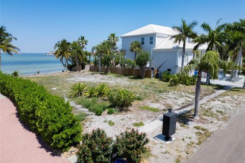 Casa en venta en Apollo Beach, Florida, 5 dormitorios, 576.74 m2 № 1285711 - foto 21