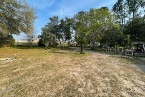 Land in Polk City, Florida № 1597889 - photo 5