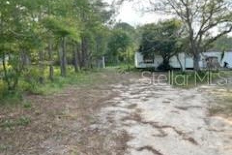 Land in Polk City, Florida № 1597889 - photo 7