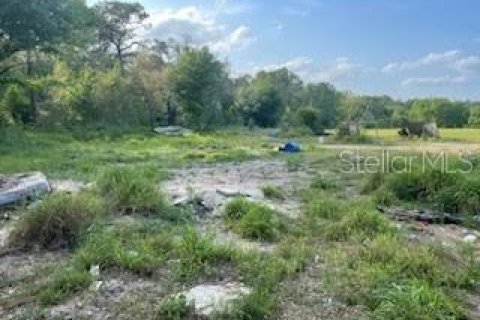 Land in Polk City, Florida № 1597889 - photo 1