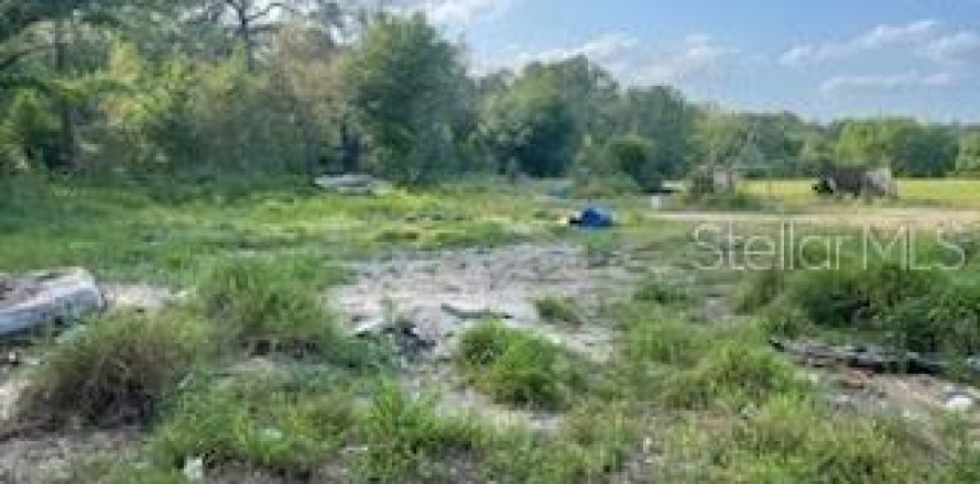 Land in Polk City, Florida № 1597889