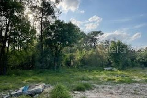 Land in Polk City, Florida № 1597889 - photo 3
