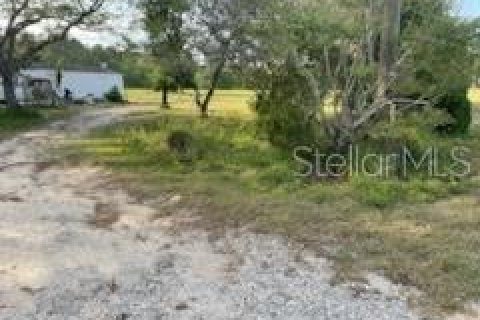 Land in Polk City, Florida № 1597889 - photo 6