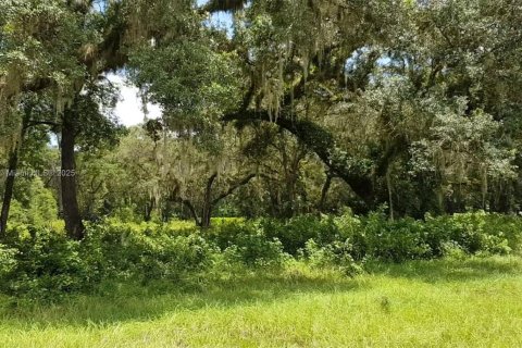 Commercial property in Ocala, Florida № 1864040 - photo 15