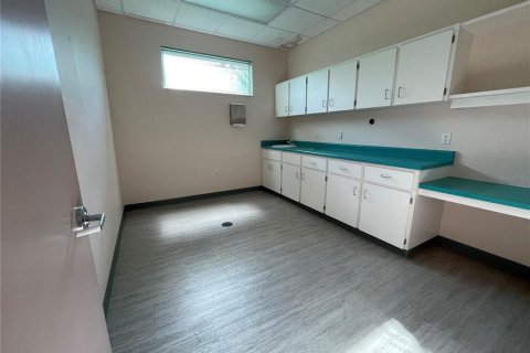 Снять в аренду коммерческую недвижимость в Инвернесс, Флорида 810.85м2, № 1198638 - фото 28