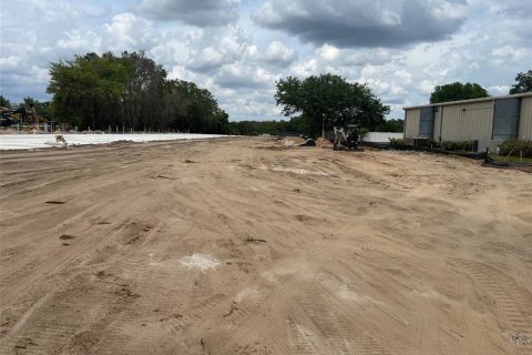 Commercial property in Leesburg, Florida 1974.17 sq.m. № 1740500 - photo 9