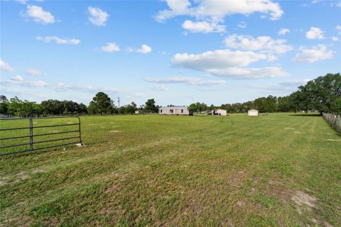 Land in Ocala, Florida № 1773549 - photo 7