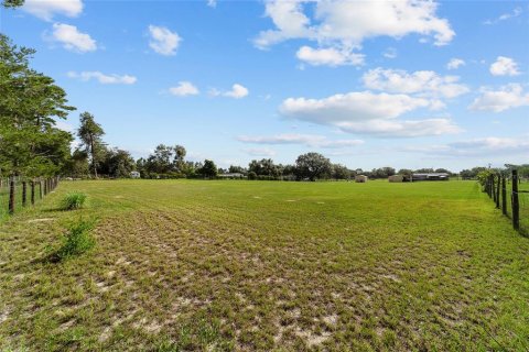 Land in Ocala, Florida № 1773549 - photo 12