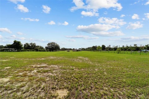 Land in Ocala, Florida № 1773549 - photo 13