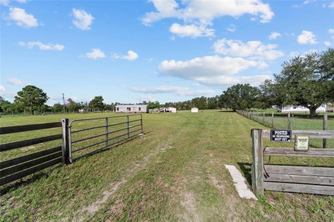 Land in Ocala, Florida № 1773549 - photo 6