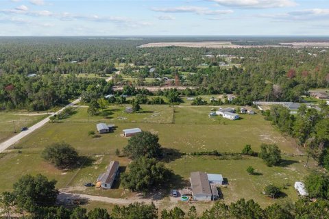 Land in Ocala, Florida № 1773549 - photo 5