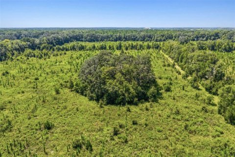Terreno en venta en Alachua, Florida № 2283612 - foto 4