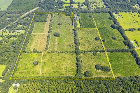 Land in Alachua, Florida № 2283612