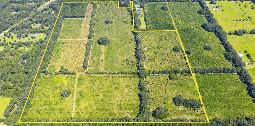 Terreno en Alachua, Florida № 2283612