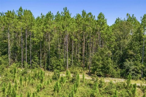 Terreno en venta en Alachua, Florida № 2283612 - foto 3