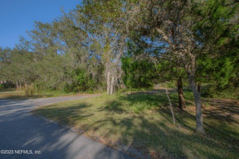 Land in East Palatka, Florida № 841048 - photo 1