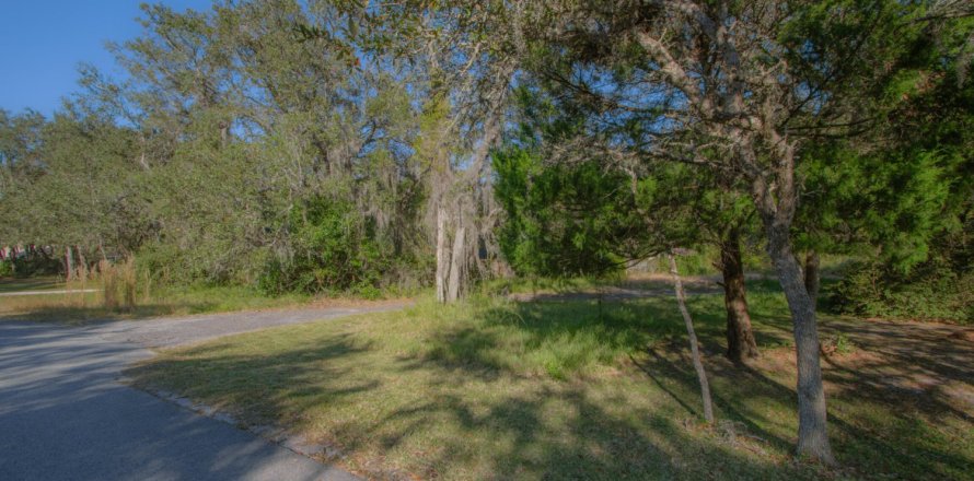 Land in East Palatka, Florida № 841048